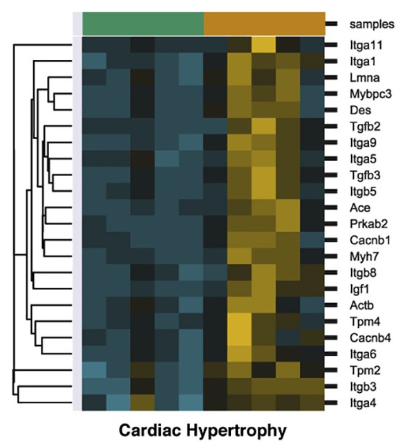 Cell Metabolism figure