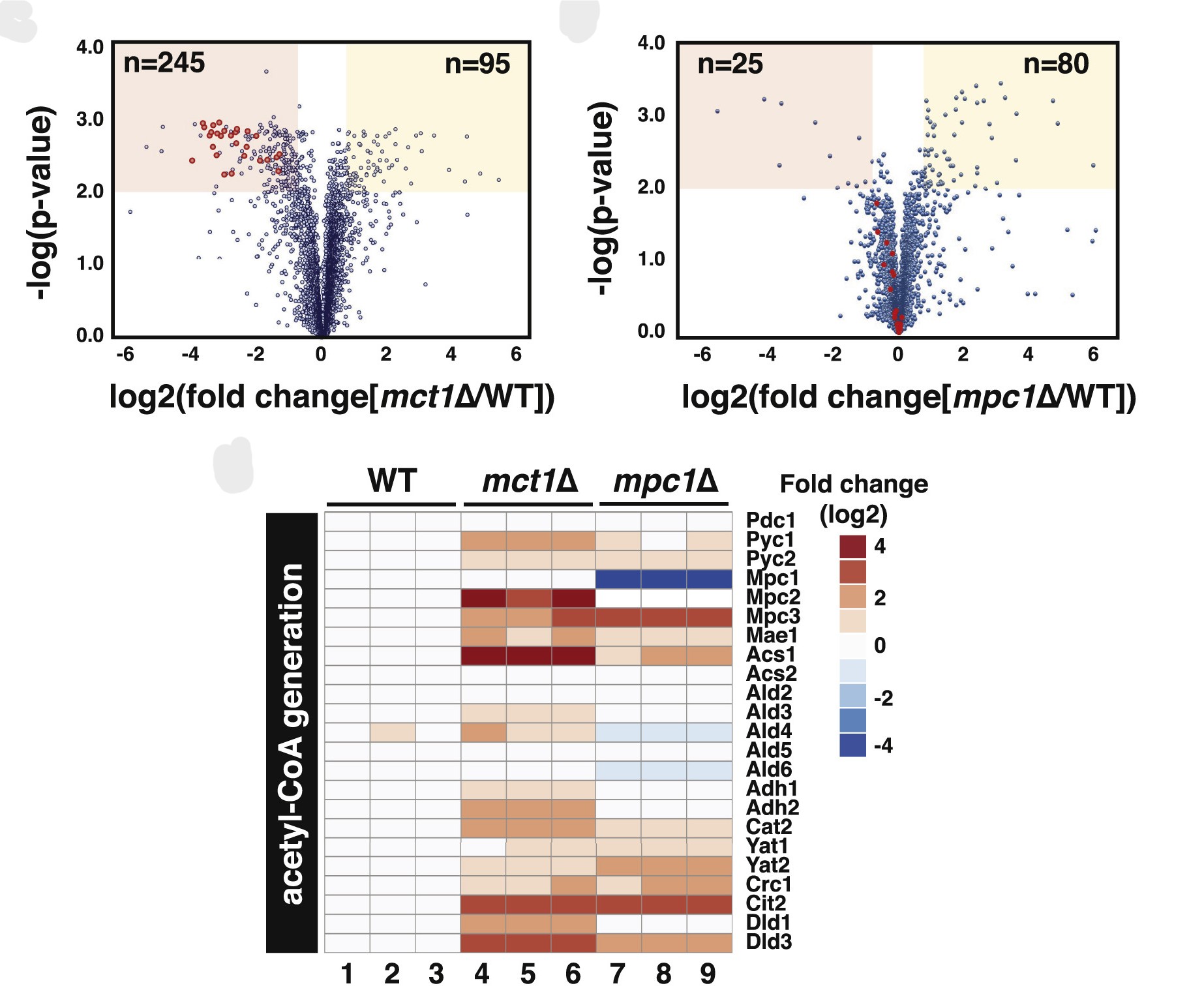 Molecular Cell figure