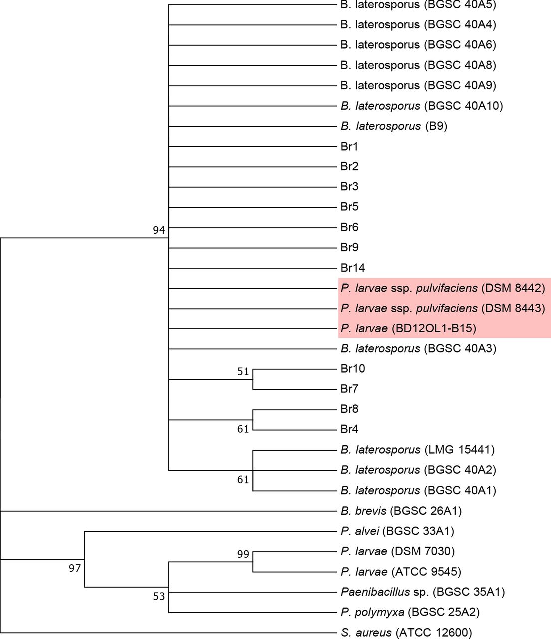 Applied and Environmental Microbiology figure